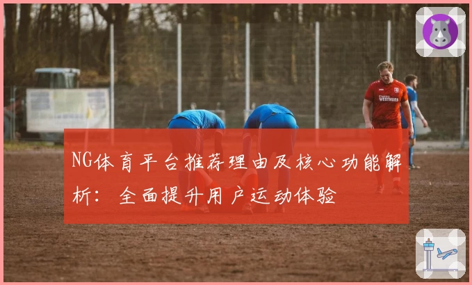NG体育平台推荐理由及核心功能解析：全面提升用户运动体验