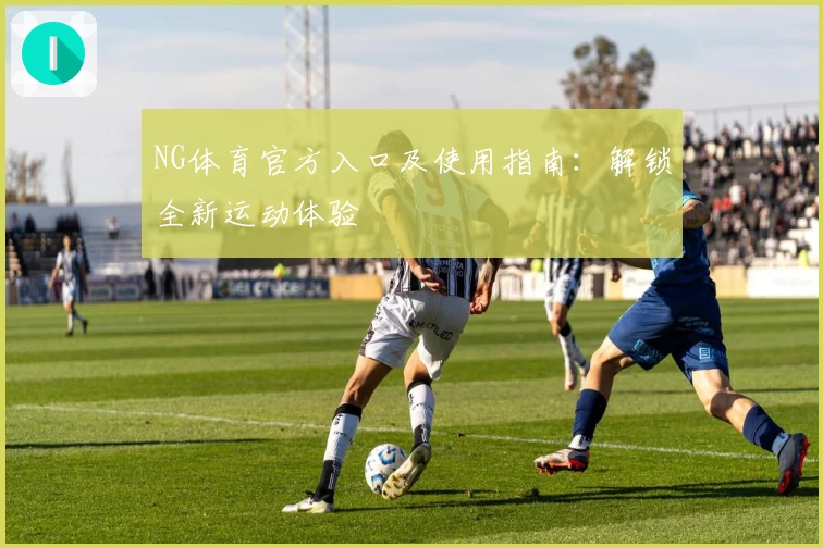 NG体育官方入口及使用指南：解锁全新运动体验