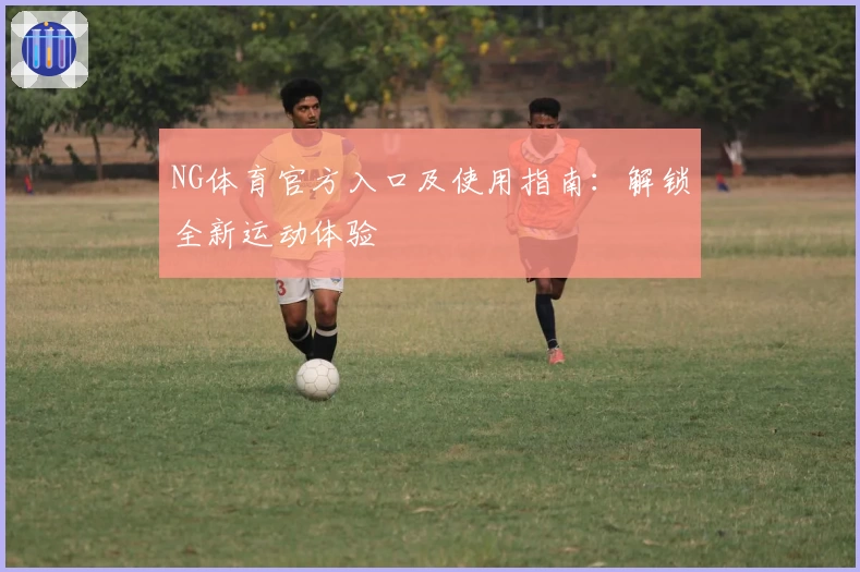 NG体育官方入口及使用指南：解锁全新运动体验
